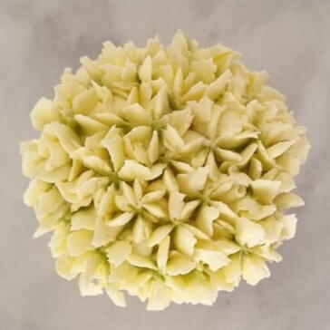 White Hydrangea Cupcake Flower